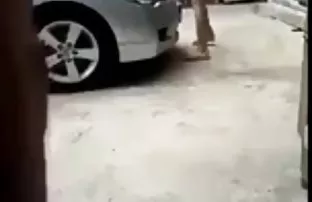 XXX Suami dengan istri video bokep indo smp sma kepala fuck seksvayf