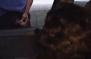 XXX Blonde dengan vagina dicukur di casting bokep indo sma smp porno Woodman