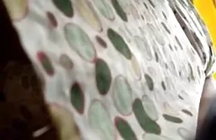 XXX Memanggil seorang pelacur ke rumah dan pergi saat dia melakukan pekerjaan tanpa bokep smk indo permen karet