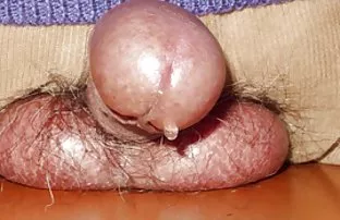 XXX Siswa dicuci ke asrama - seorang teman tinggal landas smp bokep indo